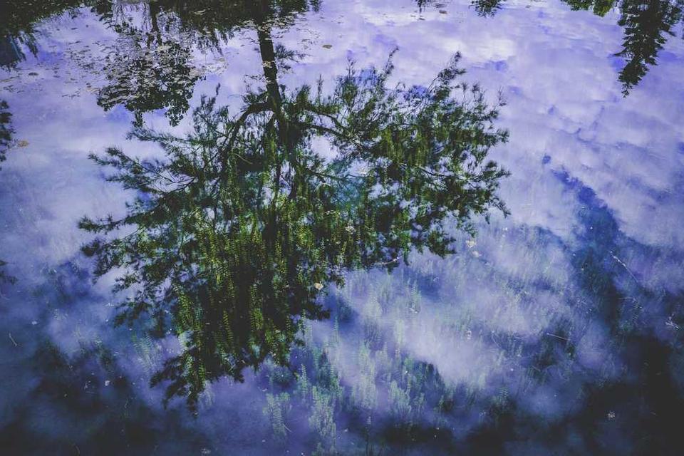 Nikiszowiec – robotnicza perła Katowic